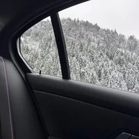 snowy forest