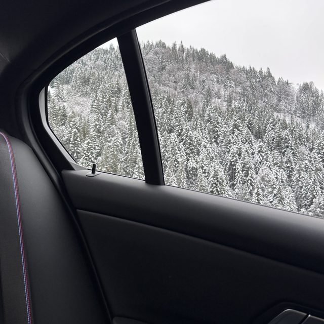 Snowy forest from the car