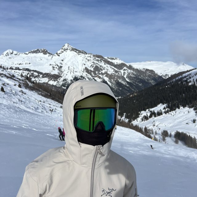 Skiing in the Alps